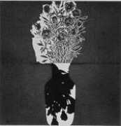 carolinaarts.com Dsultan