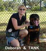 americanfamilydogtraining.com Dtank