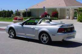 mustangworld.com Duaine