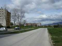 Dubec