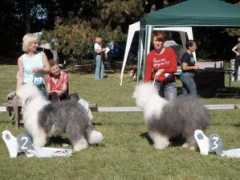 bobtail.ru Dubecka