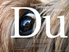 haubentaucher.at Dubist