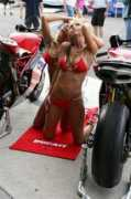 Ducati