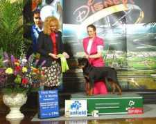 gulfstreamrottweilerclub.org Ducica
