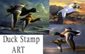 Duckart