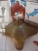 Duckbill