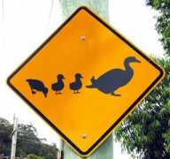 Ducked