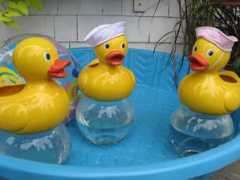 vipnyc.org Duckies