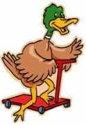 ccdsmetro.org Duckky