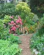 mooseyscountrygarden.com Duckless