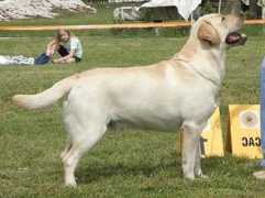 port.of.nessie.retriever.hu Ducz