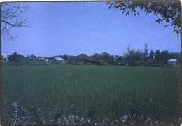Duffie