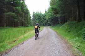 Duforest
