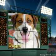 Dugal