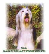 Dugan