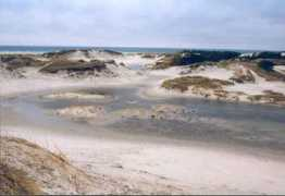 usedom-wollin.de Duhne