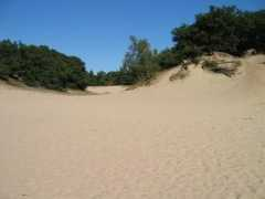 Duinen