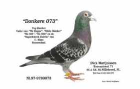Duiven