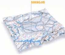 Dukagjin