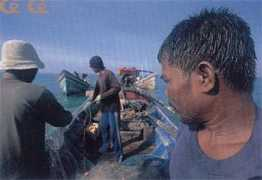 Dulam