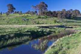 Dumaresq