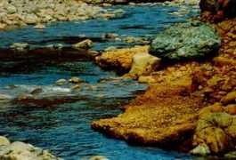 la.famille.dubus.free.fr Dumbea