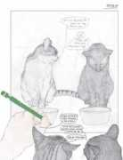mouse.co.il Dumia
