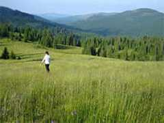 romaniatourism.com Dumitrel