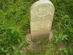 Dunavant