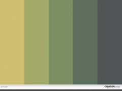 colourlovers.com Duned