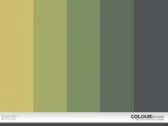 colourlovers.com Duned