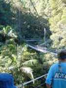 Dungay