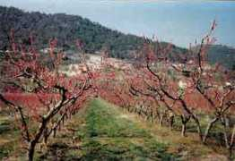 aucoeurdelardeche.free.fr Duniere