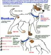 Dunkan