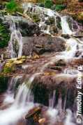 Dunnings