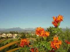 Durbanville