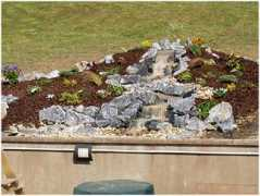 aquascapes4all.com Dureen