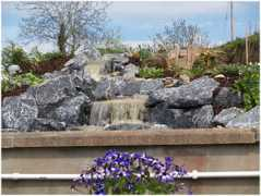 aquascapes4all.com Dureen
