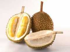 Durian