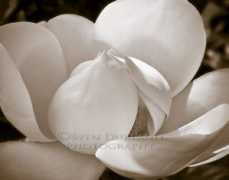 durlandphotoart.com Durland
