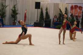 gymnasticsonline.co.uk Durmaj