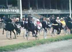 sport.freepage.de Durvalo