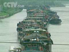 news.cctv.com Dusai