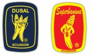 Dusal