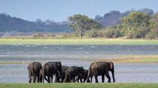 lefigaro.fr Duschinger