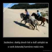 Dusi