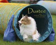 Dustee