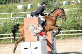 riinan.net Duvina