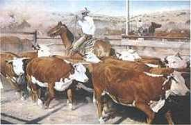 hillmansaddlery.com Duward