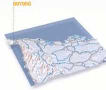 nona.net Duyong